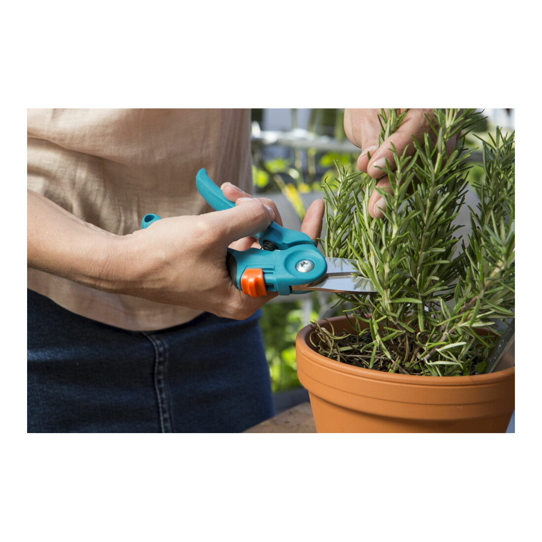 Ciseaux pour balcon city gardening GARDENA