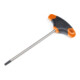 Clé Torx Fein T15-1