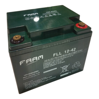 cleancraft AGM-Batterie 12V 42 Ah