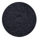 cleancraft Grundreinigungs-Pad 22" schwarz