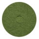 cleancraft Scheuer-Pad 7" grün 17,8 cm