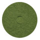cleancraft Scheuer-Pad Cleancraft Grün 11" 27,9 cm