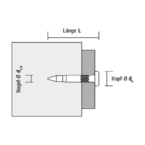 Clous acier TKA pour FORCE ONE de 19 mm. CELO