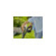 Coupe-bordures sans fil EasyCut 23/18V P4A GARDENA Set Ready-To-Use-4
