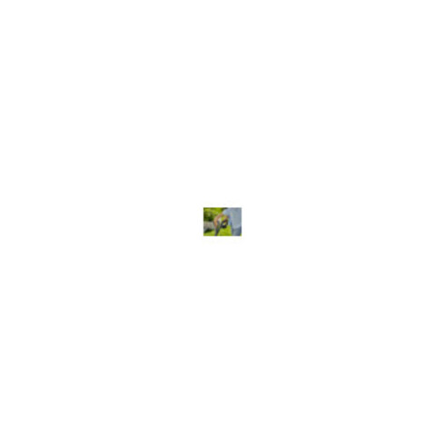 Coupe-bordures sans fil EasyCut 23/18V P4A GARDENA Set Ready-To-Use