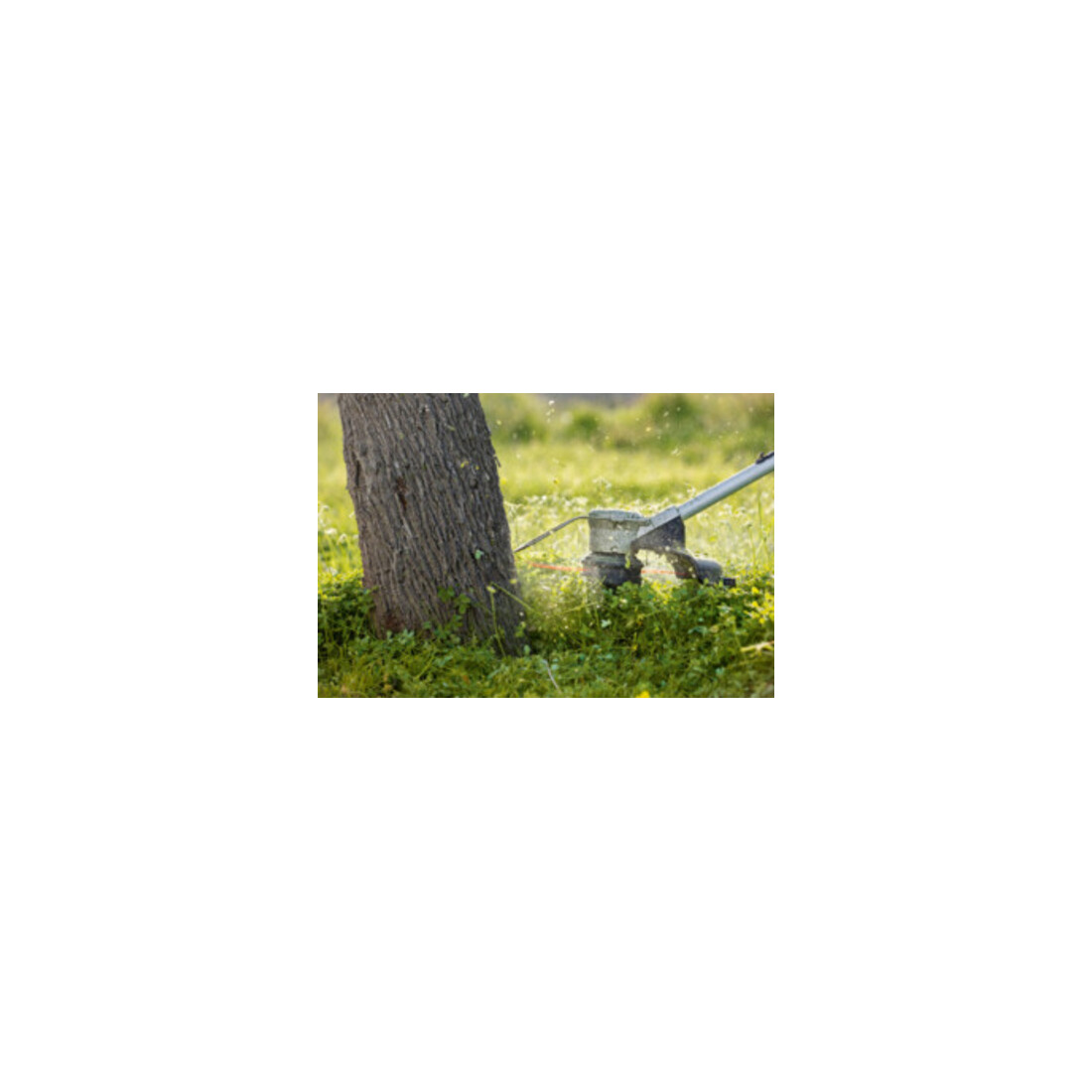 Coupe-bordures sans fil GRT 18V-33 Bosch