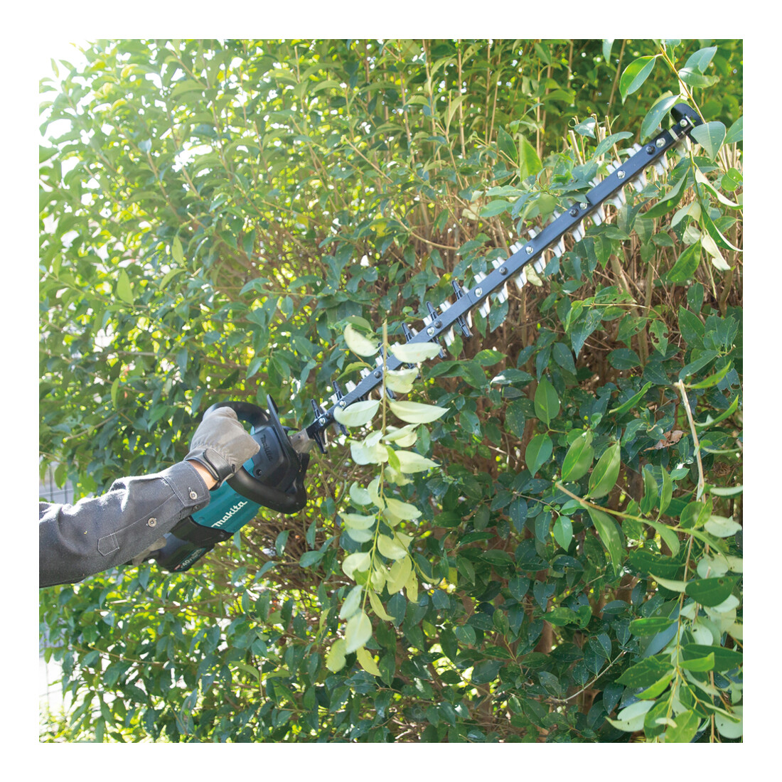 Coupe-haie Makita sans fil 75cm 40V UH007GD201