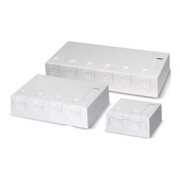 Dätwyler IT Infra Prise AP pour 2x module keystone ou module o. Module rw RAL9010 418035-1