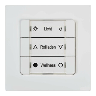 DELTA DORE DuoFern Bouton mural multiple ultra blanc 9494-2