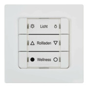 DELTA DORE DuoFern Bouton mural multiple ultra blanc 9494-2-1