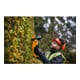 DEWALT accu heggenschaar, 18V, basisversie DCMHT563N-XJ-4