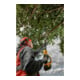 DEWALT Akku-Hochentaster, 18V, Basisversion DCMPS567N-XJ