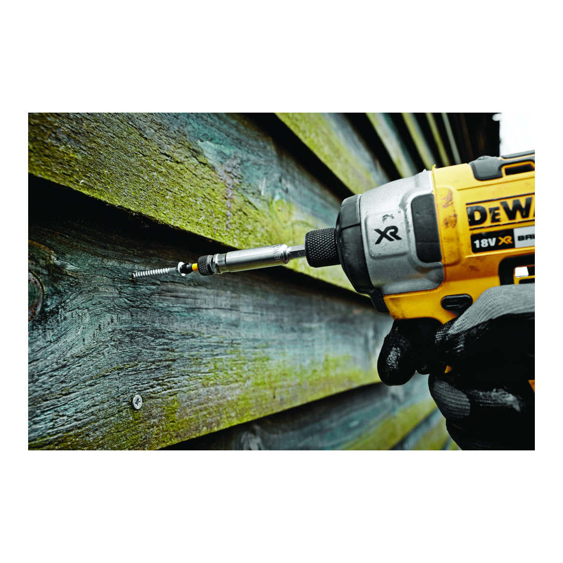 DEWALT bit box 25 mm Ph2 25dlg. slagvast DT70586T-QZ