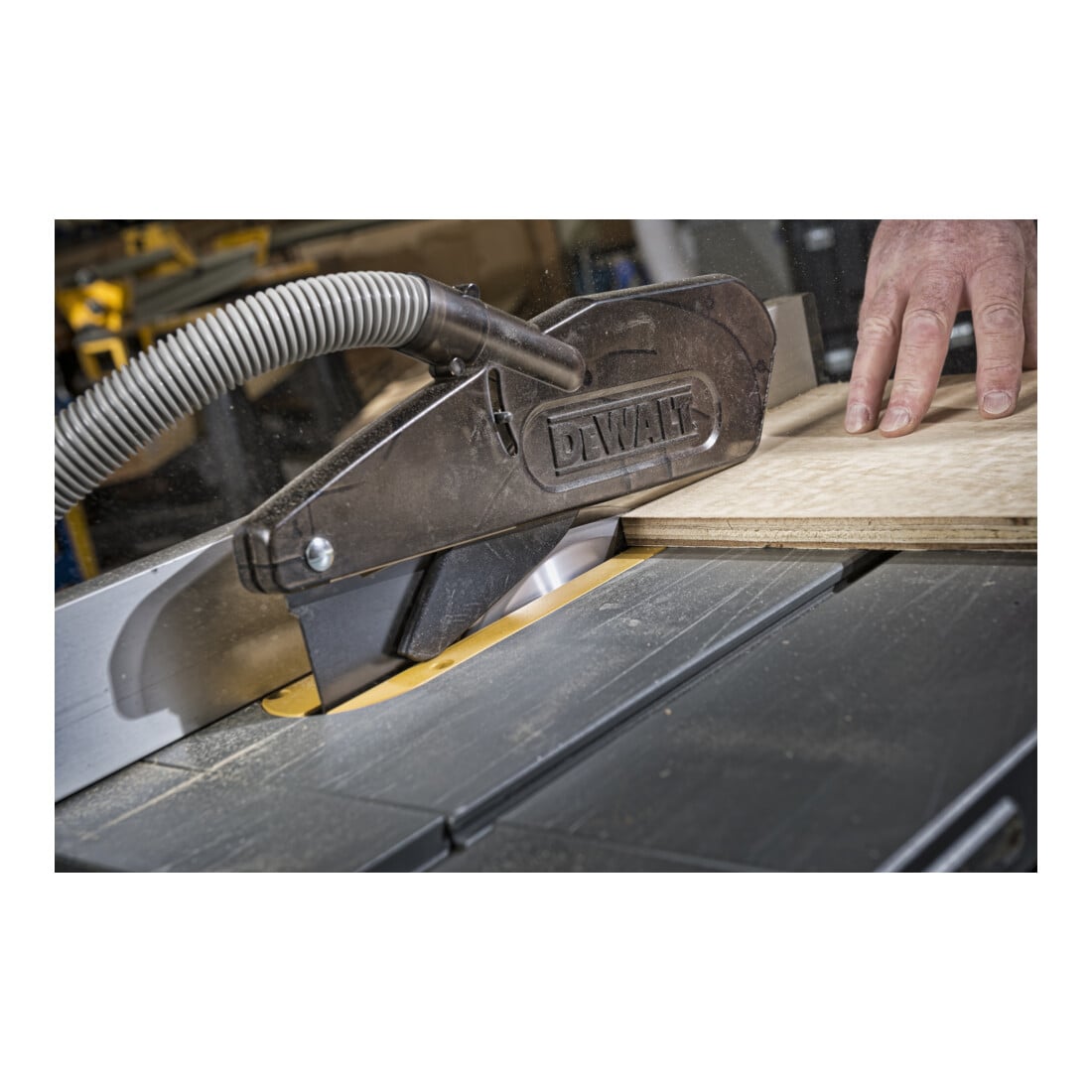 DEWALT Lama per sega circolare fissa 250/30mm 30WZ