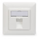 DIGITUS Boîte vide pour module Keystone 80 x 80 mm + centre 50 x 50 mm DN-93811