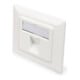 DIGITUS Leerdose f. Keystone Modul 80 x 80mm + Zentr. 50 x 50mm DN-93811