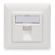 DIGITUS Leerdose f. Keystone Modul 80 x 80mm + Zentr. 50 x 50mm DN-93811