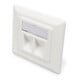 DIGITUS Zentralplatte 2-fach 80x80 RAL9010 RJ45 DN-93801-1