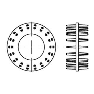 DIN 1052 Blechdorn-Holzverbinder Typ D zweiseitig