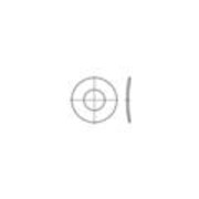 DIN 137-A Federscheibe gewölbt, Edelstahl A4, blank