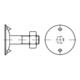 DIN 15237 Tellerschraube mit Mutter, Stahl 3.6, blank-1