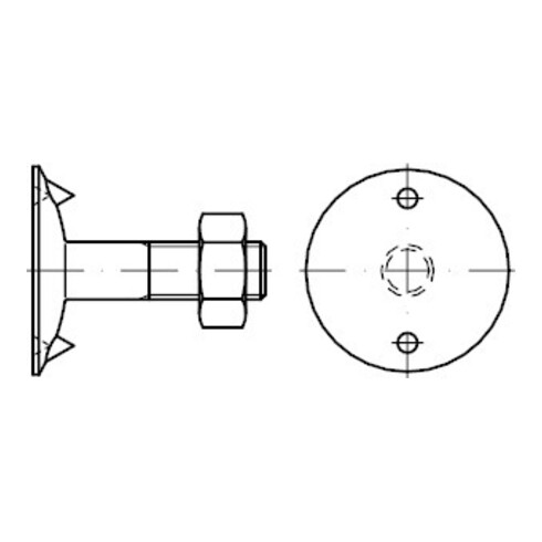 DIN 15237 Tellerschraube mit Tellerscheibe, mit Mutter, Mu 3.6 M6x20 HP 0