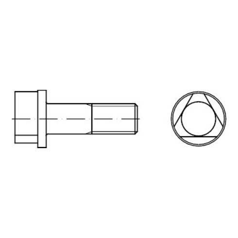 DIN 22424 Dreikantschraube, 8.8 A M8x30 HP