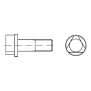 DIN 22424 Dreikantschraube, 8.8 A M8x30 HP