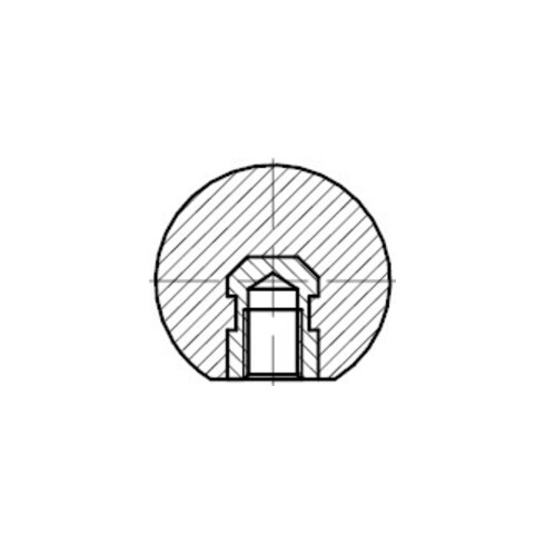 DIN 319 Bouton sphérique, C= filetage intérieur sans douille, plastique noir E MS M20x5 P
