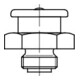 DIN 3404 5.8 galZn M10x1 SW17 HP-1