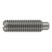 DIN 417/ISO 7435 Gewindestift mit Zapfen und Schlitz, Stahl 14 H, blank-1