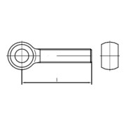 DIN 444 Augenschraube, 4.6 galZn Vollgew. LB M20x130 HP