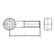 DIN 444 Form B Augenschraube M30x200 Stahl 4.6 blank
