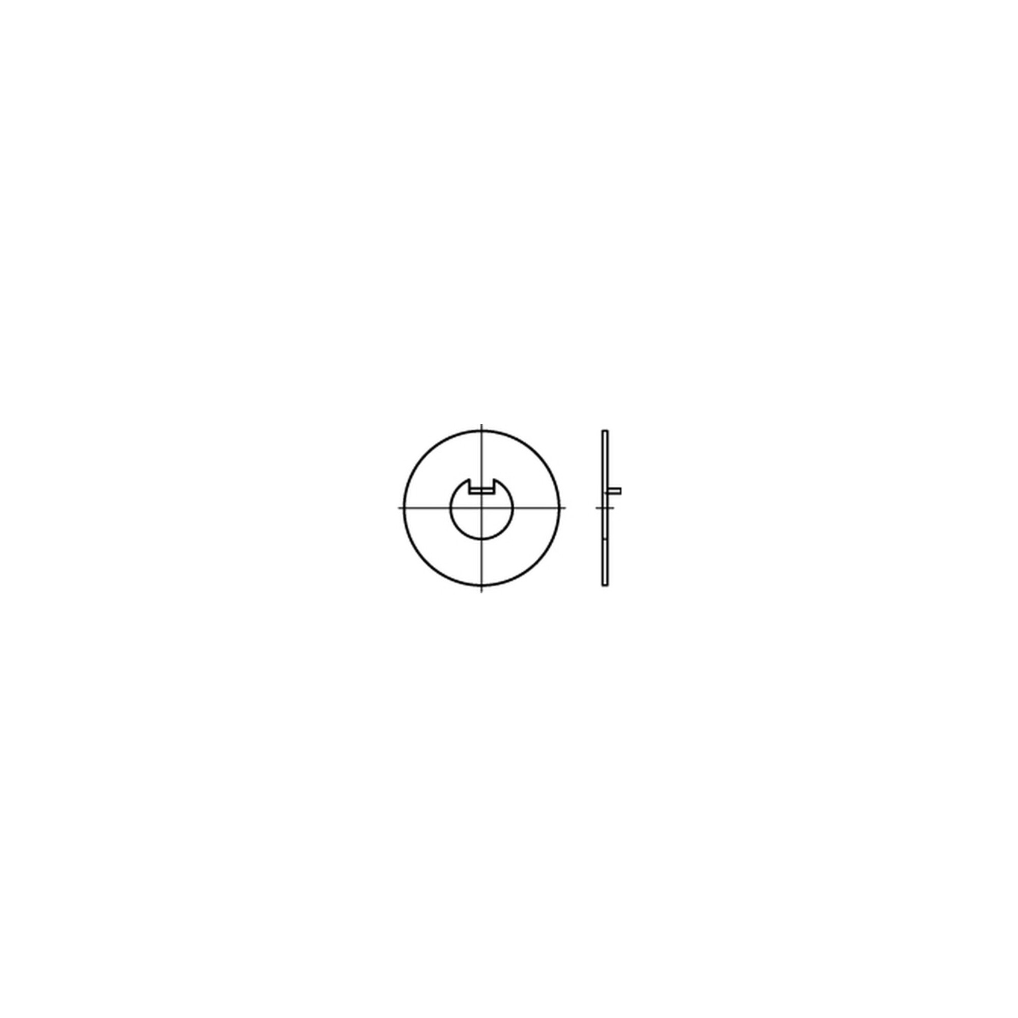 DIN 462 Flache Scheibe Stahl 58mm mit Innennase ; Industrial Quality Supplies