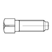 DIN 479 Vierkantschraube mit Kernansatz, 8.8 M10x30 HP
