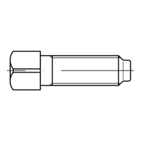 DIN 479 Vierkantschraube Vollgewinde, Außenvierkant m. Kernansatz, Stahl 8.8, blank