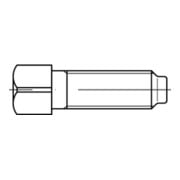 DIN 479 Vierkantschraube Vollgewinde, Außenvierkant m. Kernansatz, Stahl 8.8, blank-3