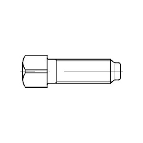 DIN 479 Vis carrée avec collet, 8.8 M12x80 HP