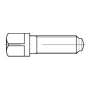 DIN 480 Vierkantschraube mit Bund und Ansatzkappe, 10.9 M10x50 HP