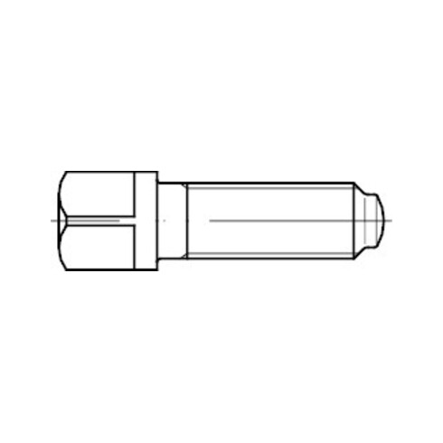 DIN 480 Vierkantschraube mit Bund und Ansatzkappe, 10.9 M16x80 SW17 HP