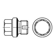 DIN 5586-B Verschlussschraube Außensechskant-3