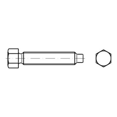 DIN 561 Sechskantschraube 22H/8.8 galZn AM6x16 HP