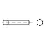 DIN 561 Sechskantschraube 22H/8.8 galZn AM6x16 HP