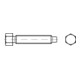 DIN 561 Sechskantschraube 22H/8.8 galZn AM6x30 HP-1