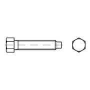 DIN 561 Vis hexagonale 22H/8.8 galZn B M16x45 HP