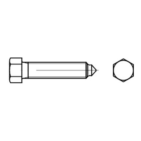 DIN 564 Vis à six pans creux, filetage jusqu'à la tête, 8.8 B M6x30 HP