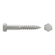 DIN 571 Sechskant-Holzschraube 8x55 Edelstahl A2 blank