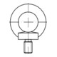 DIN 580 Ringschraube, C15E M52 HP-1