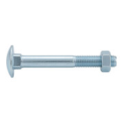 DIN 603\ISO 8677 Flachrundschraube Teilgewinde mit Vierkantansatz und Mutter Stahl 4.6 blank-1