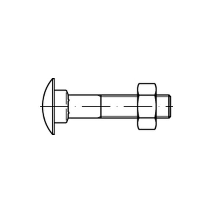 DIN 603 Flachrundschraube M20x300 Stahl 4.6 galvanisch verzinkt m. Vierkantansatz u. Mutter